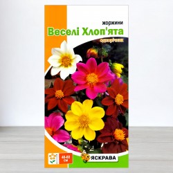 Насіння жоржин Веселі Хлоп'ята, Яскрава, 0,3г
